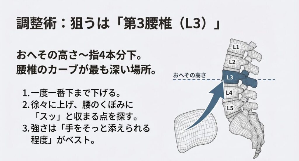 おへその高さから指4本分下にある第3腰椎L3をランバーサポートで狙うための図解