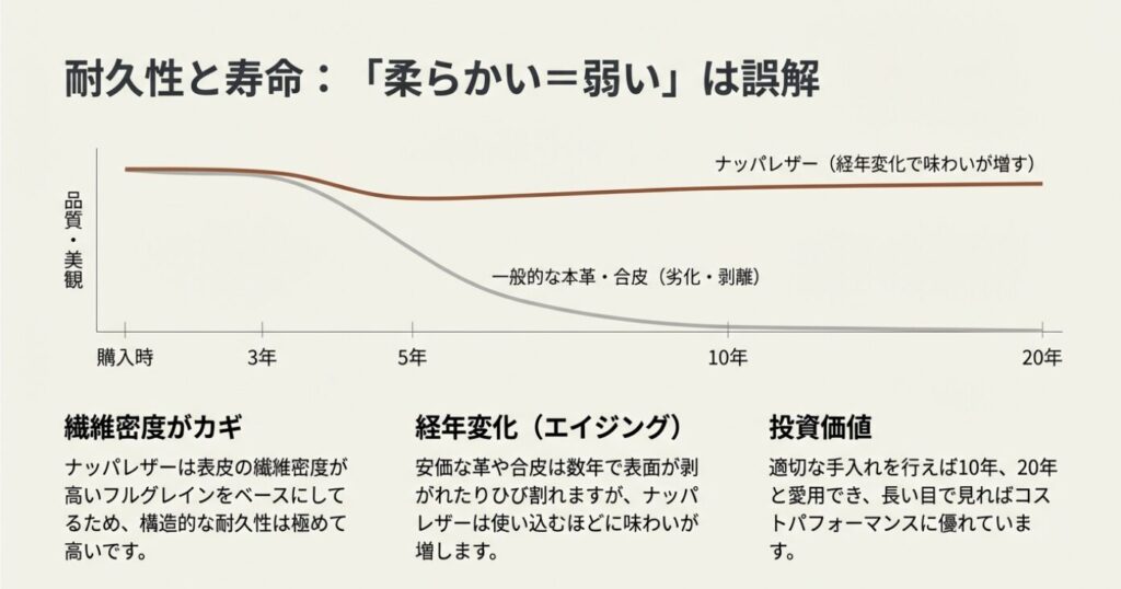 購入時から20年後までの品質変化をナッパレザーと一般的な本革・合皮で比較したグラフ。
