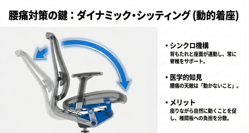 ウィルクハーンの独自技術であるダイナミック・シッティング(動的着座)のメリット解説