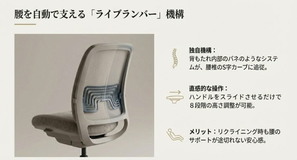 スチールケース・アミアのライブランバー機構の解説。背もたれ内部のバネが腰椎のS字カーブに追従し、8段階の高さ調整が可能な様子を示した図。