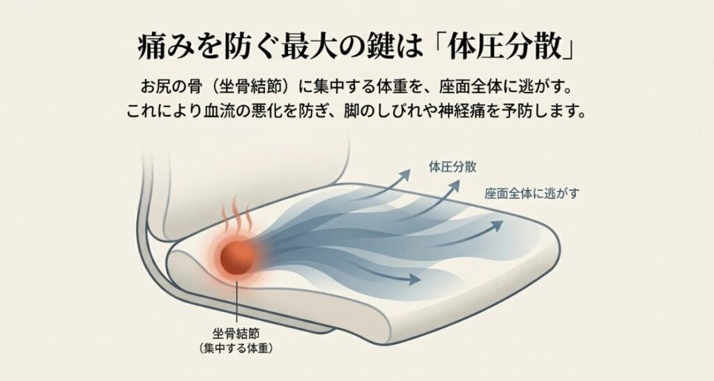 坐骨結節に集中する体重を座面全体に逃がす体圧分散の仕組みと、血流悪化を防ぐ効果の解説図